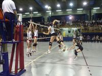 pict1093t.jpg