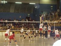 pict1118_medium.jpg